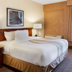 Hotel housing for homeless teaches an important lesson for future