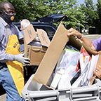 Lions Shred Paper And Smash Computers