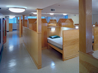 Beds inside a shelter