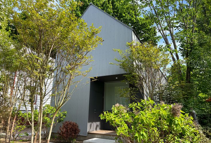 Small house surrounded by trees